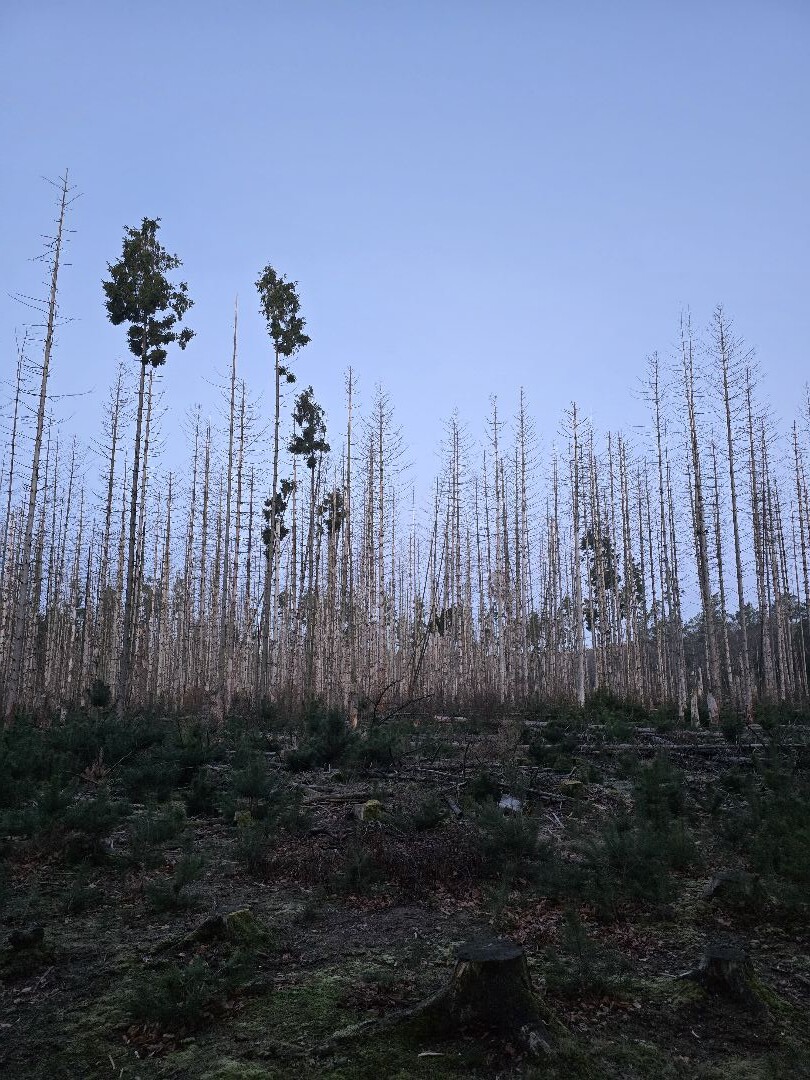 Mossel · Groene Halte etappe 10