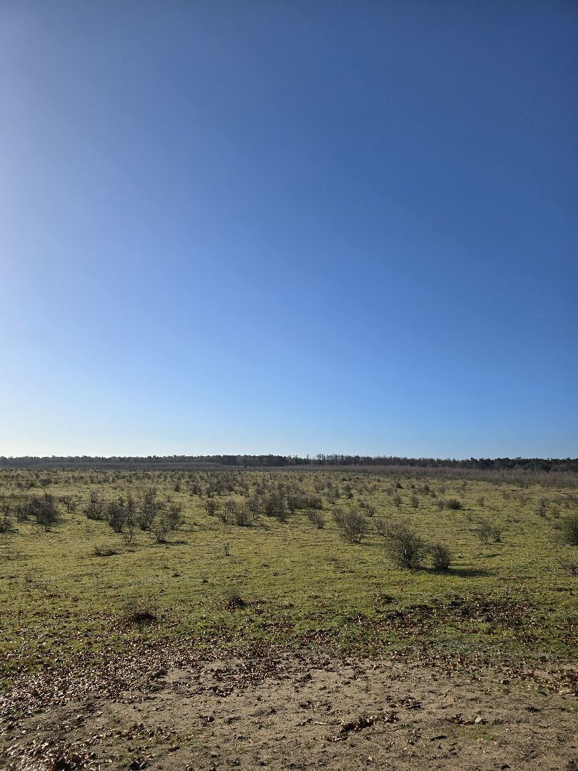 Langs de akkers van Oud-Reemst