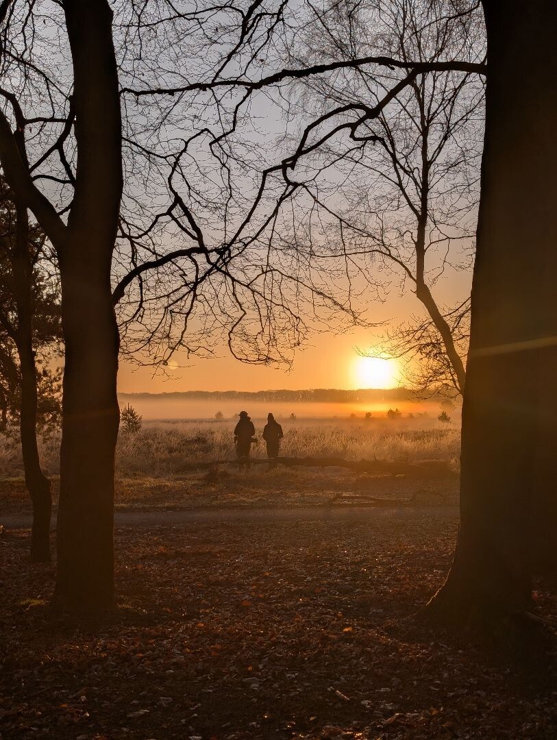 Mossel · Groene Halte etappe 10