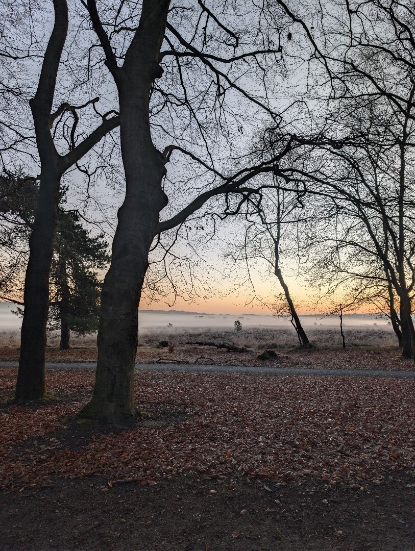 Mossel · Groene Halte etappe 10