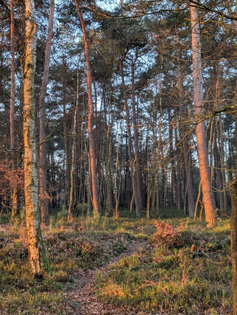 Mossel · Groene Halte etappe 10