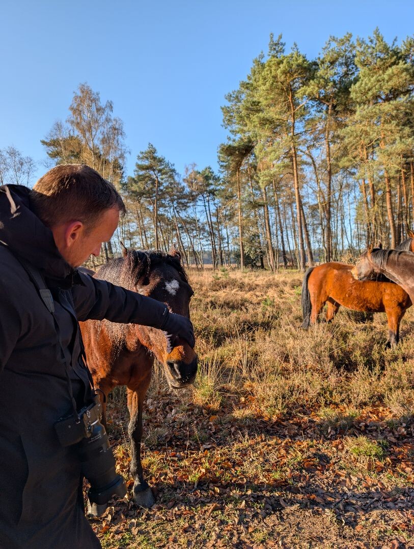 Hardlooproute Planken Wambuis, vlak bij Ede