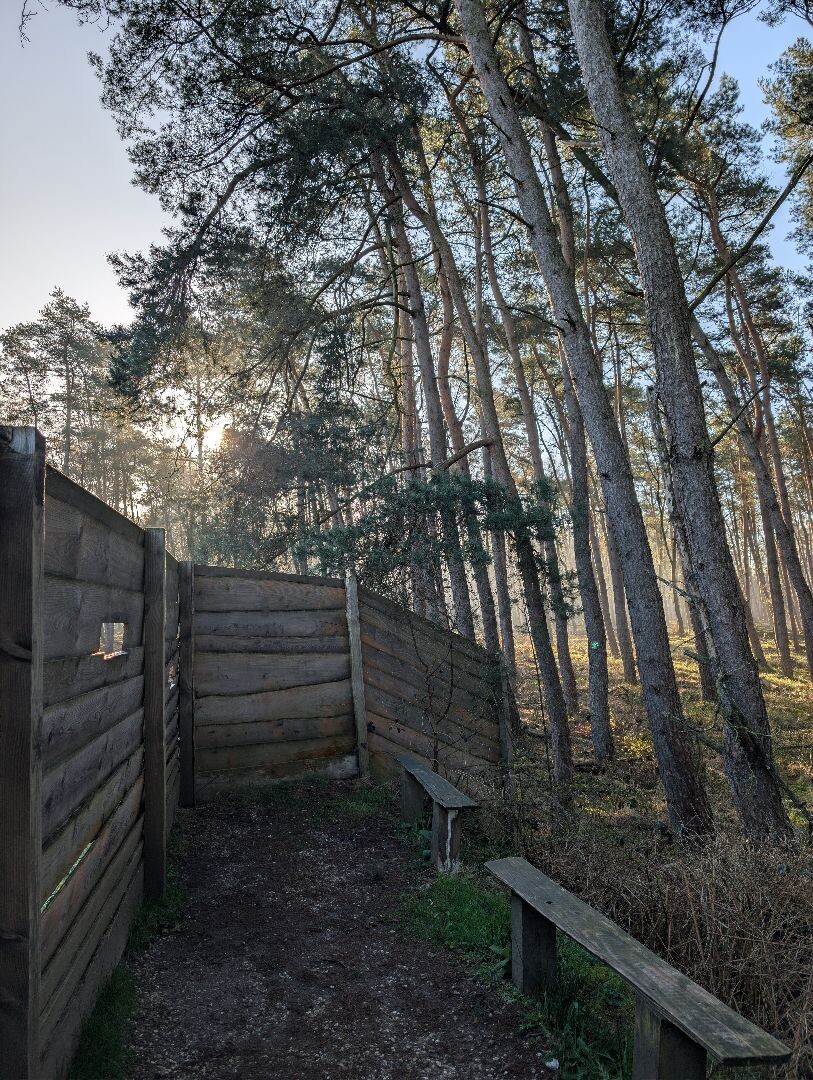 Hardlooproute Planken Wambuis, vlak bij Ede