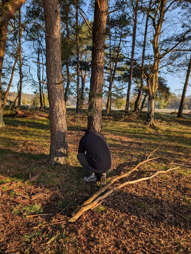 Hardlooproute Planken Wambuis, vlak bij Ede
