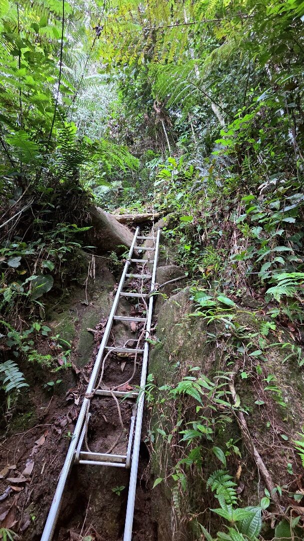 Cameron Highlands - Trail 9 - Robinsons falls