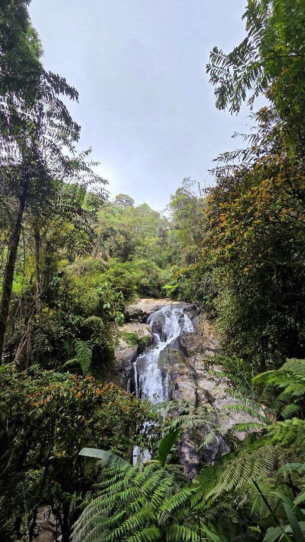 Cameron Highlands - Trail 9 - Robinsons falls