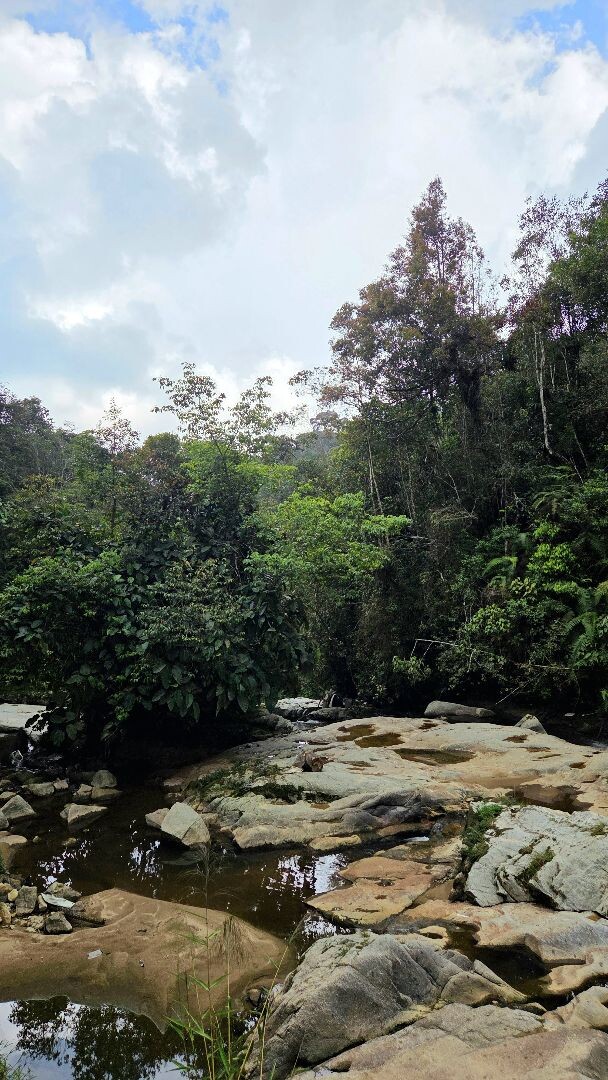 Cameron Highlands - Trail 9 - Robinsons falls