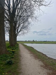 Vreugderijkerwaard - Groen