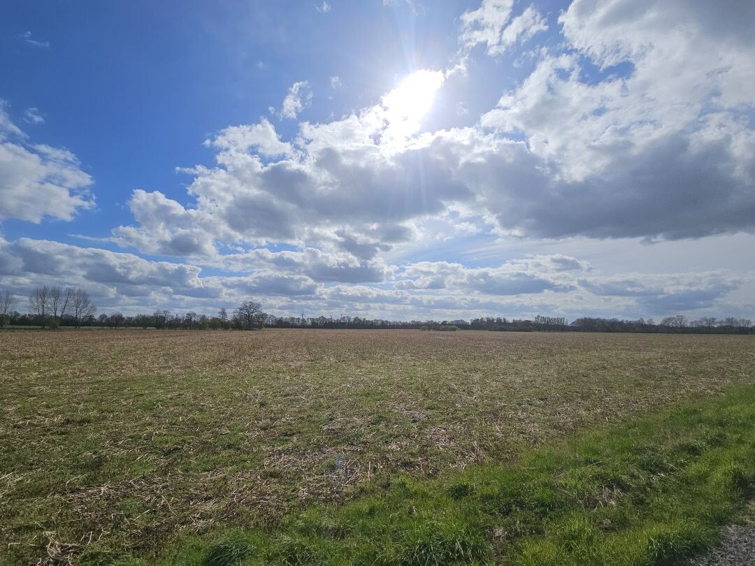 Walk of freedom Dinxperloo