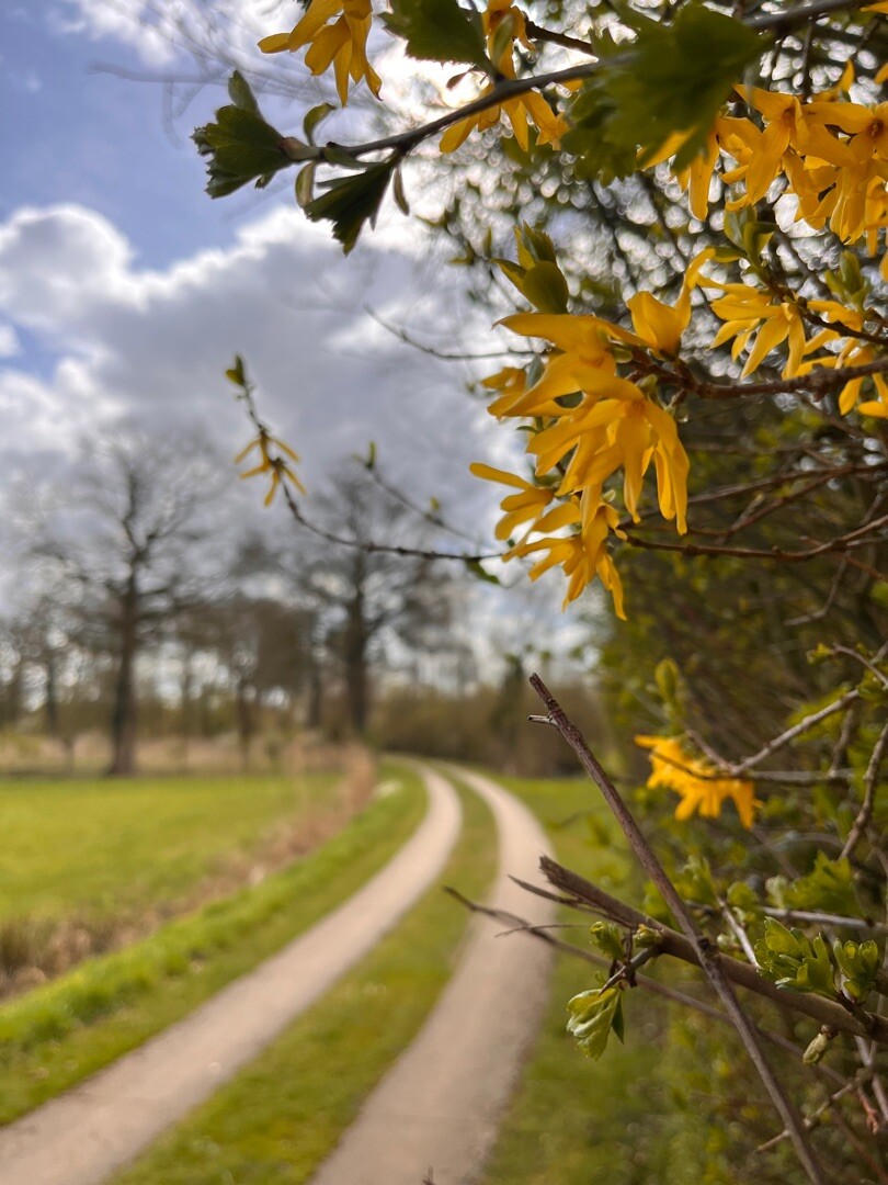 Vorden - Zelhem · Pieterpad etappe 14