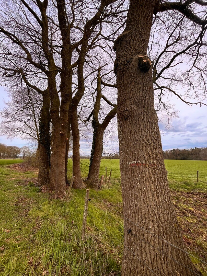 Vorden - Zelhem · Pieterpad etappe 14