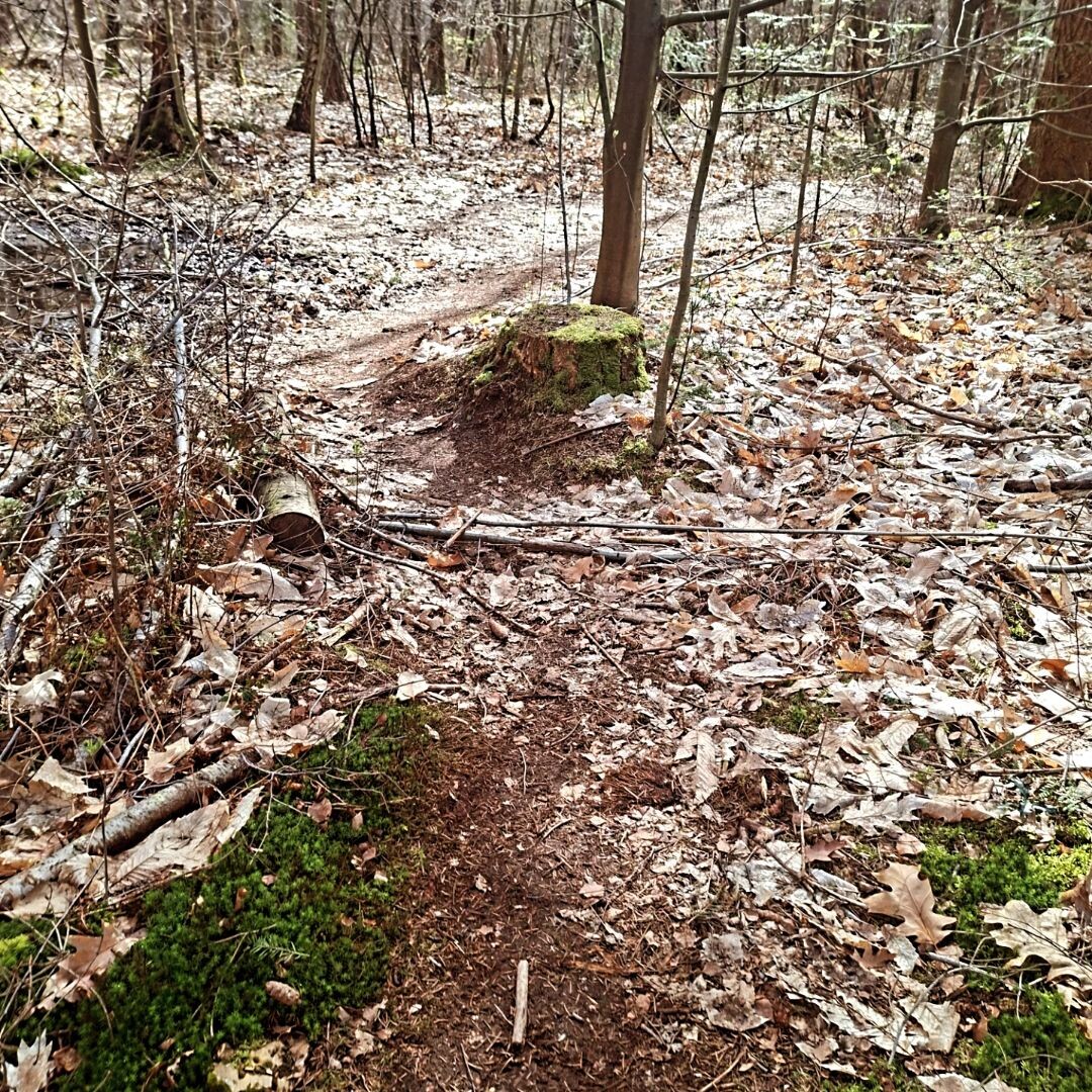 Veluwe Zwerfpad etappe 7