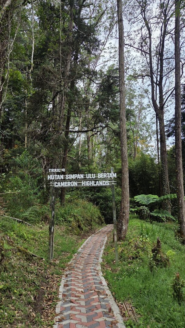 Cameron Highlands - Parit Falls via Trail 4