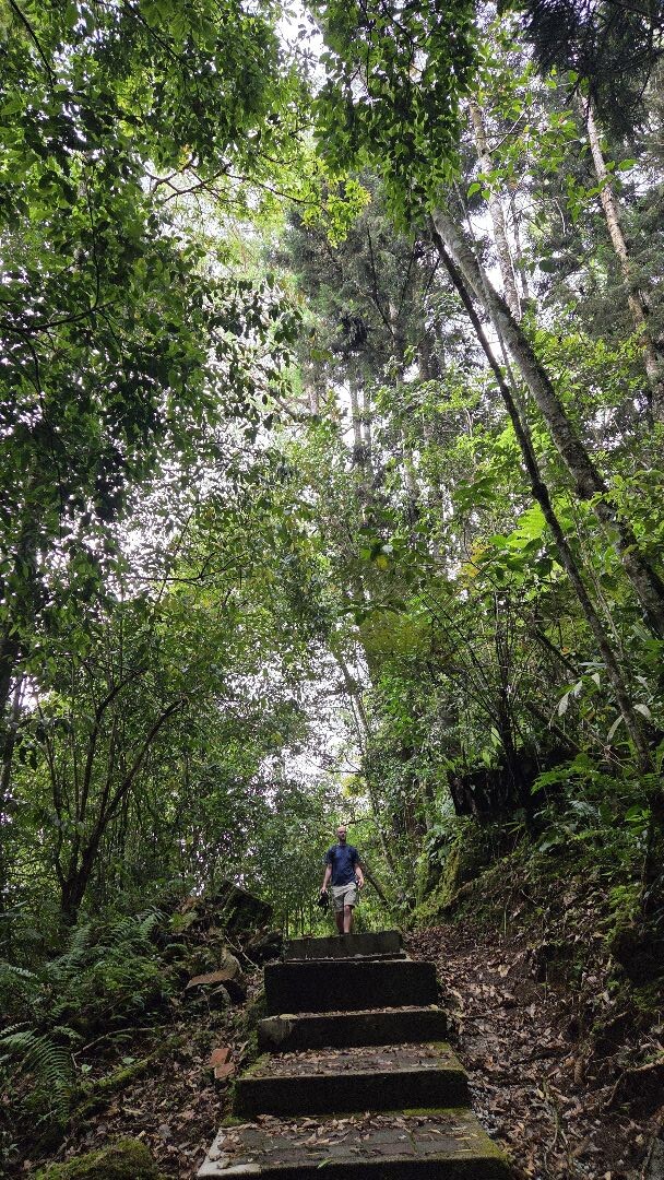 Cameron Highlands - Parit Falls via Trail 4
