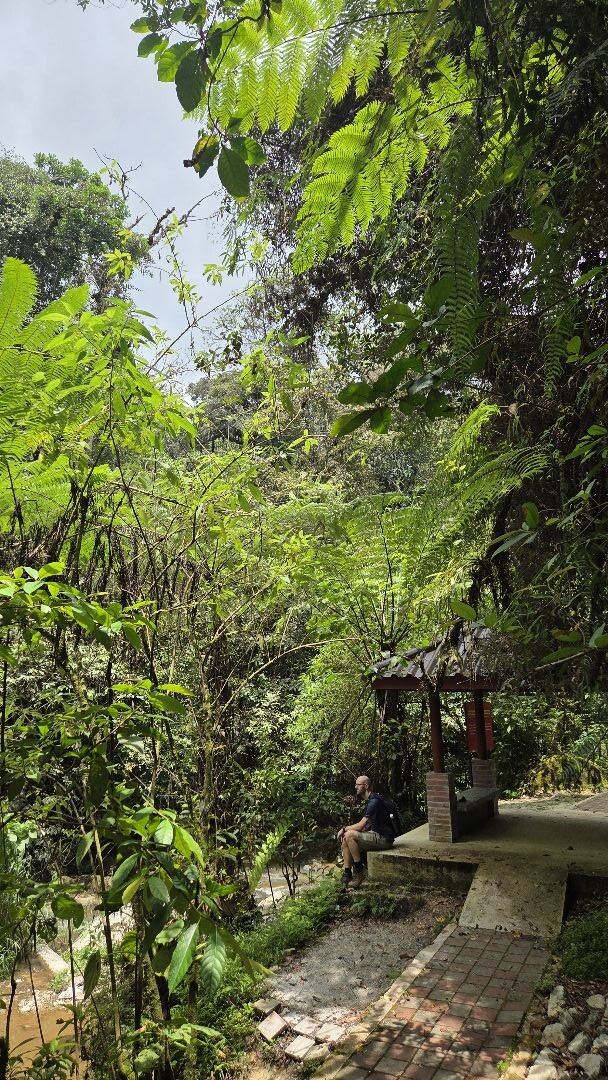 Cameron Highlands- Parit Falls trail 4