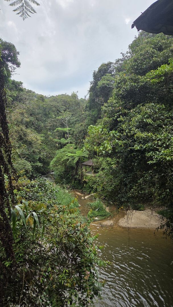 Cameron Highlands - Parit Falls via Trail 4