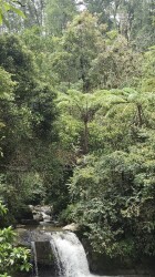 Cameron Highlands - Parit Falls via Trail 4