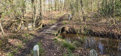 Hamont Naar Achelse Kluis