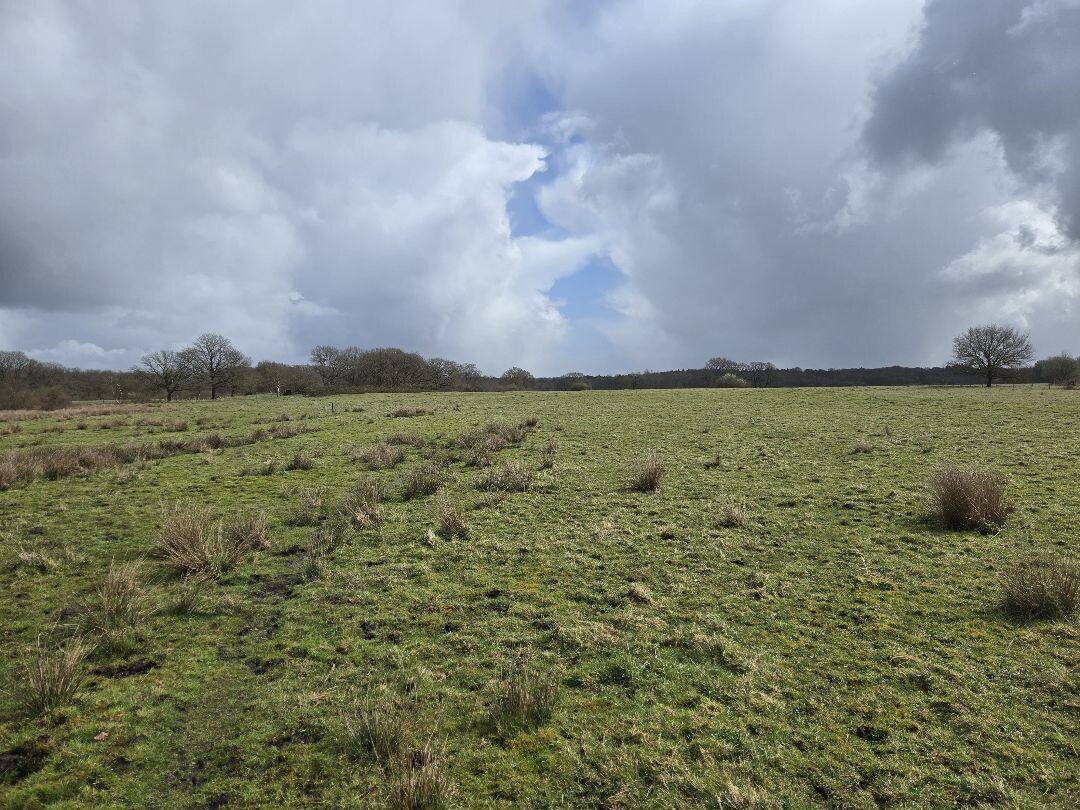 WMD wandelroute Assen