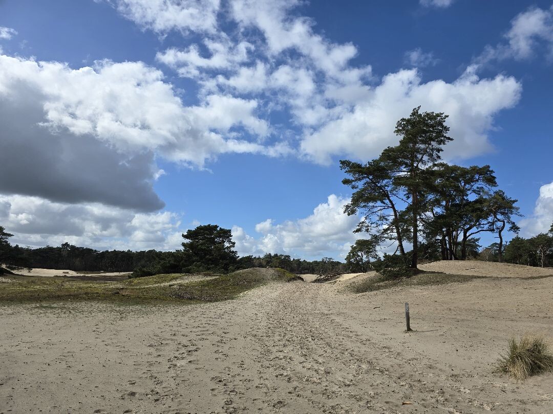 Almelose Wandel Kring - Beerze