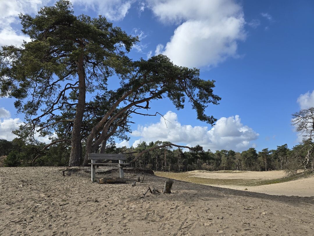 Almelose Wandel Kring - Beerze