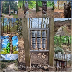 Wandelroute Belevingspad Hoogersmilde