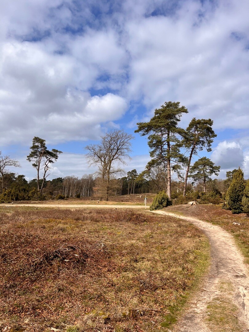Ommen - Hellendoorn · Pieterpad etappe 10