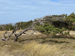 Groet - Callantsoog · Nederlands Kustpad 2 etappe 10