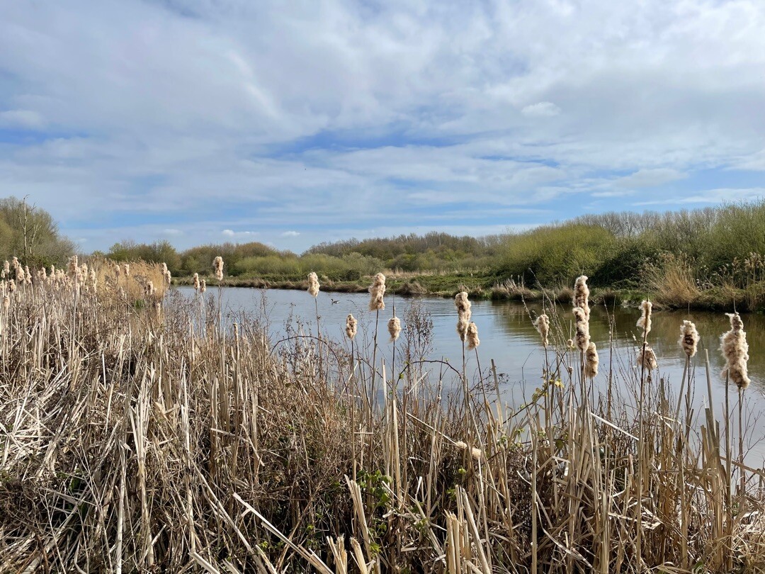 Wandelroute Krekenroute