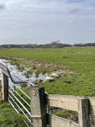 Rondje Balijbos, Bieslandse bos, Dobbe plas, Delftse hout