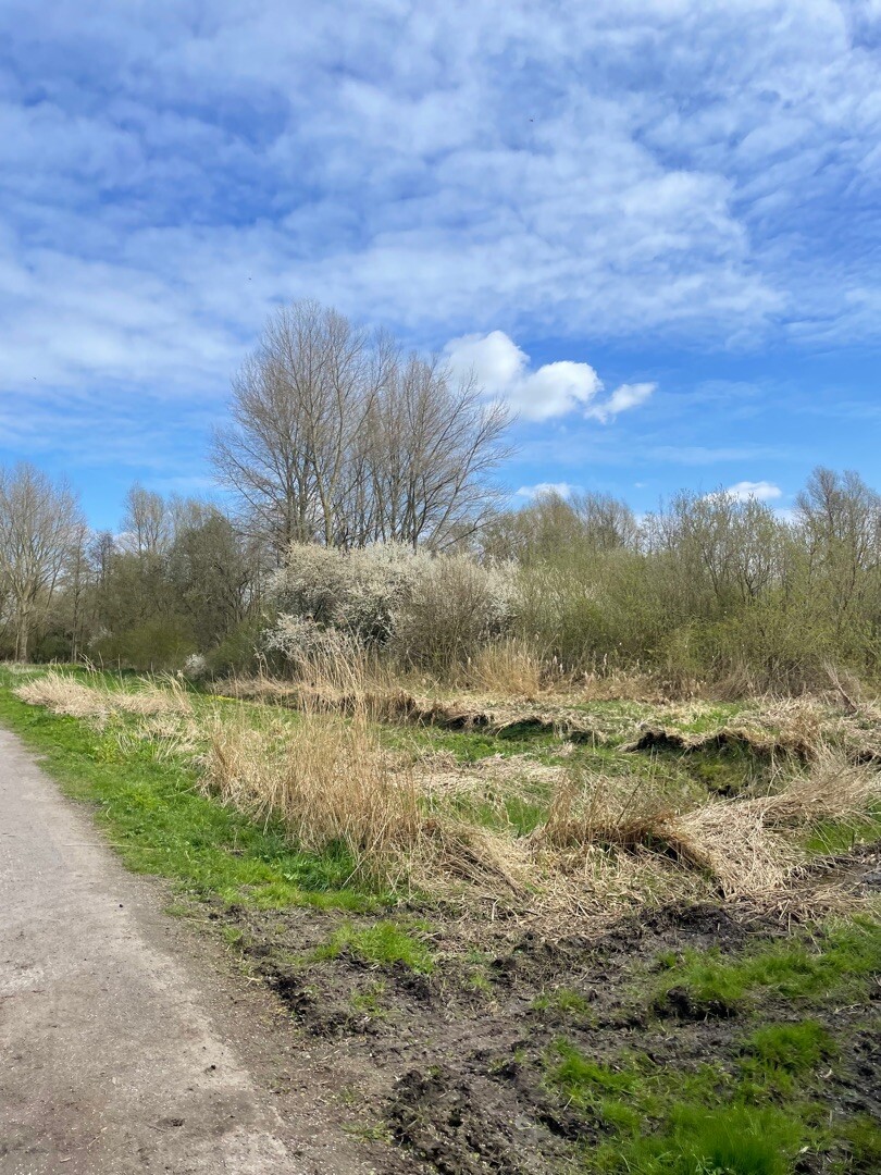 Delft - Zoetermeer · Groene Hartpad etappe 7