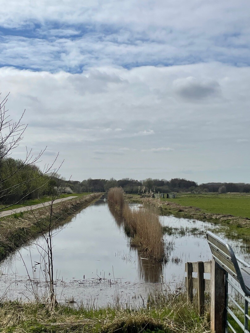 Rondje Balijbos, Bieslandse bos, Dobbe plas, Delftse hout