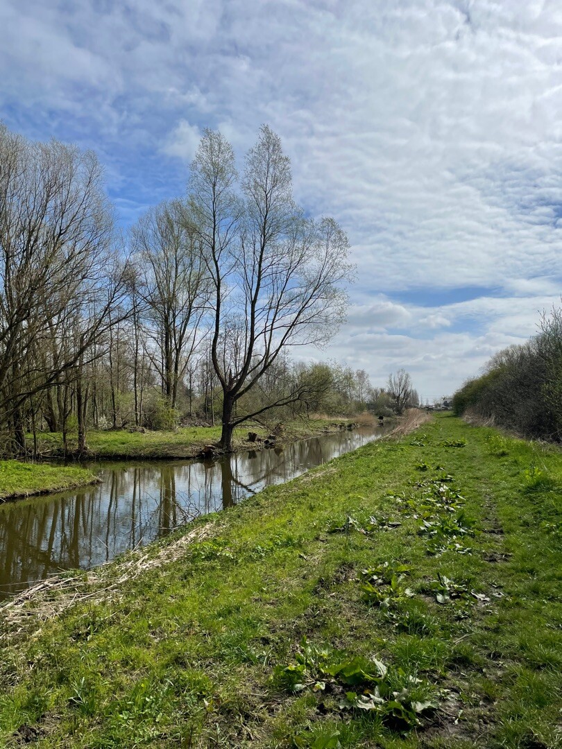 Rondje Balijbos, Bieslandse bos, Dobbe plas, Delftse hout