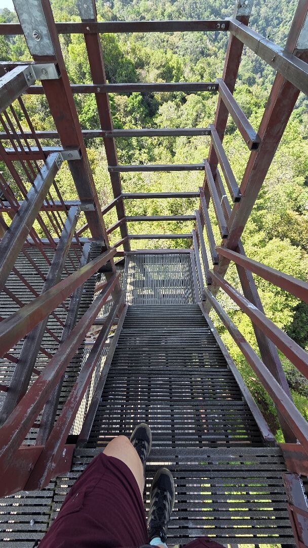 Trail Taman Eko-Rimba Pulau Tali Kail
