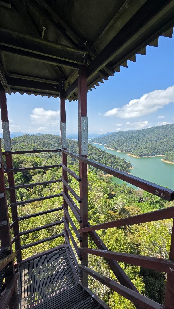 Trail Taman Eko-Rimba Pulau Tali Kail