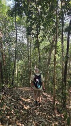 Trail Taman Eko-Rimba Pulau Tali Kail