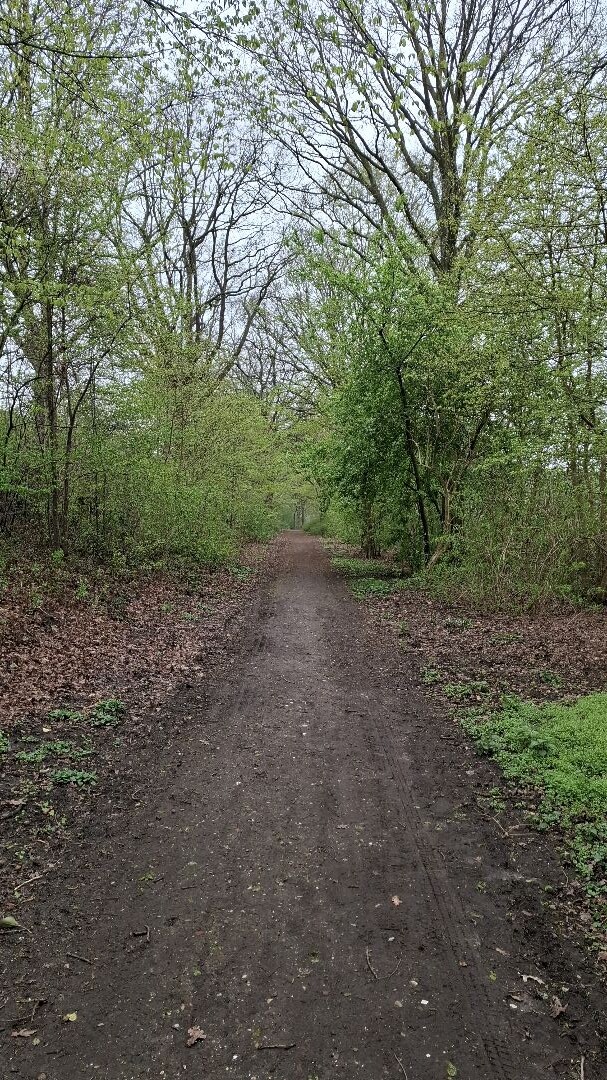 Airbornepad Market Garden - 8A · Airbornepad etappe 34