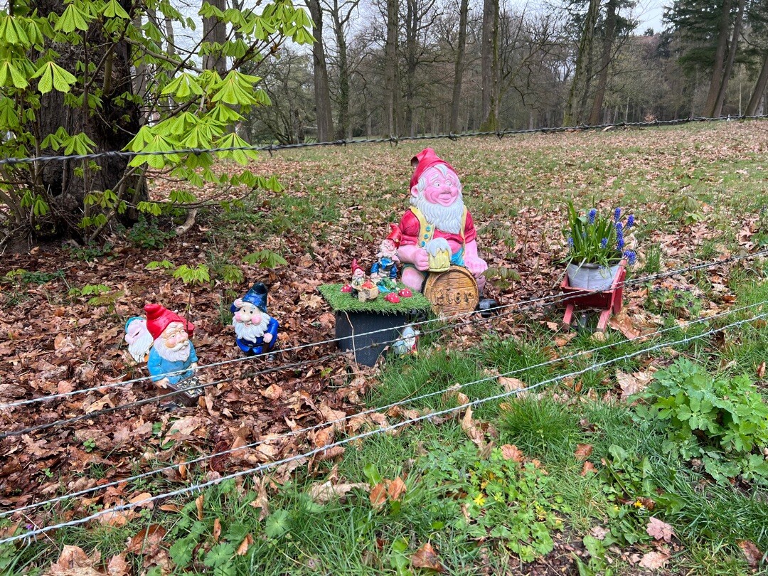 Rhenen - Ede · Trekvogelpad etappe 15