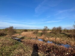 Bruinisse - Slaakbrug · Oosterscheldepad etappe 7