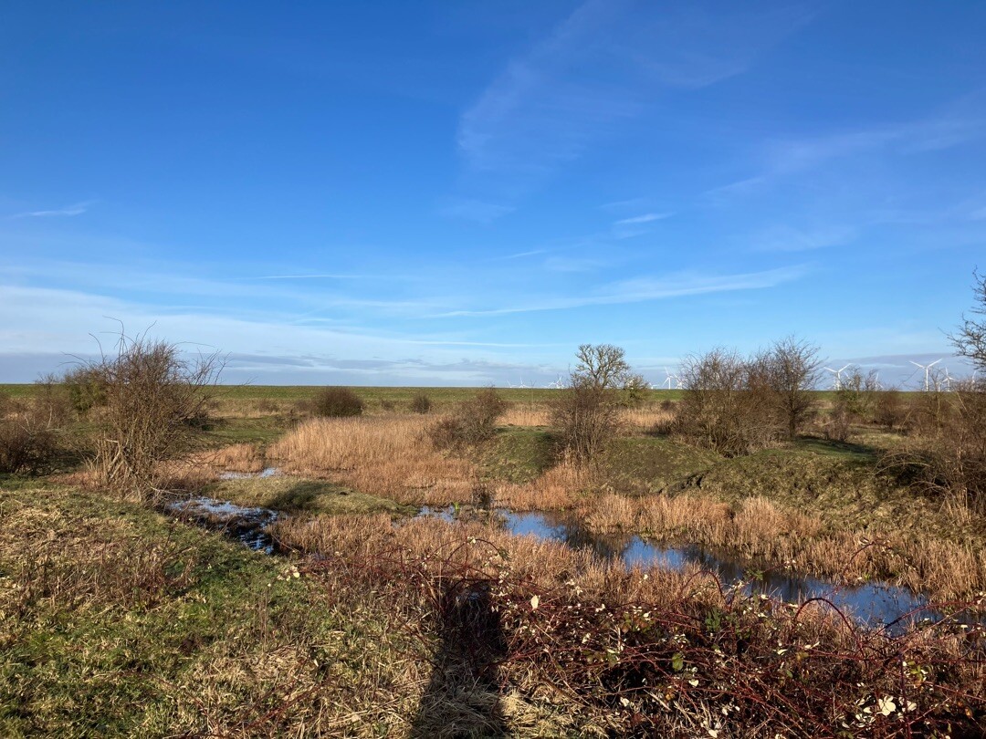 Battenoord - Tholen · GR5 etappe 5