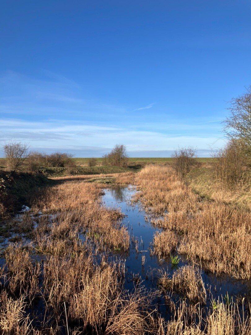 Battenoord - Tholen · GR5 etappe 5