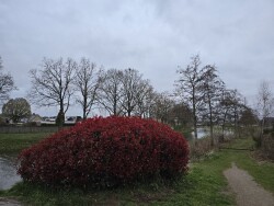 Harbrinkhoek - Groen