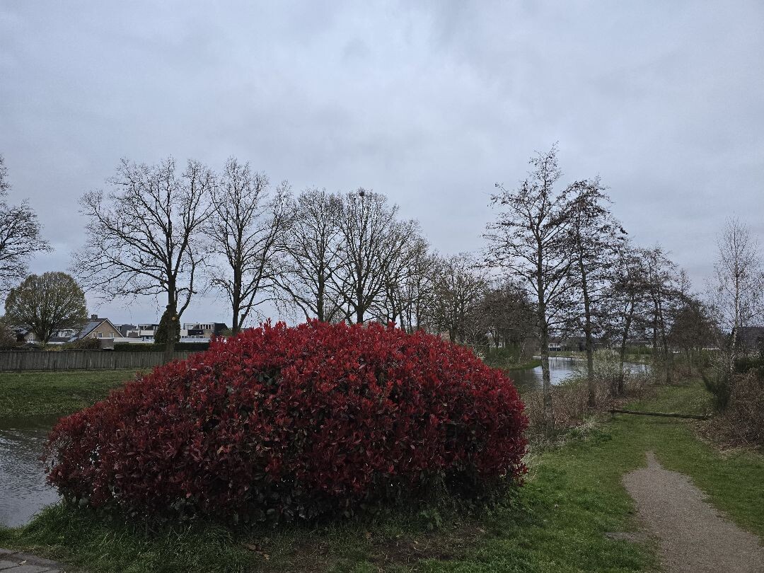 Harbrinkhoek - Groen