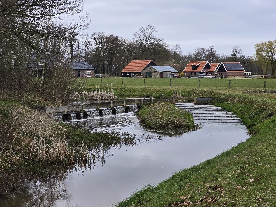 Harbrinkhoek - Groen