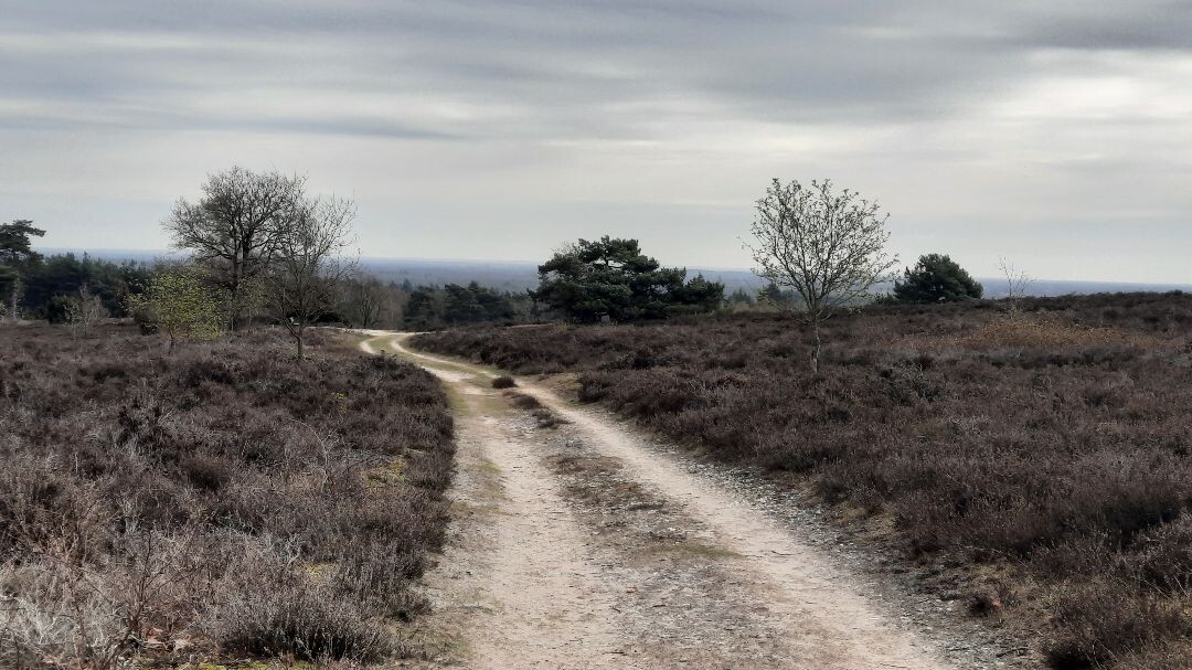 Ommen - Hellendoorn · Pieterpad etappe 10