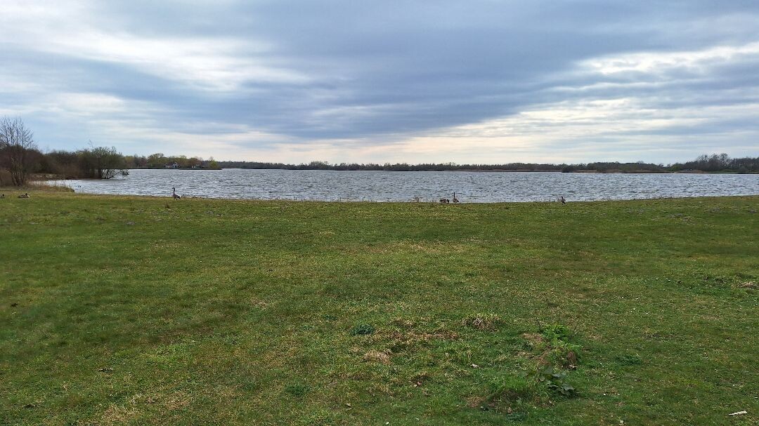 3 km wandeling langs de Grote Rietplas