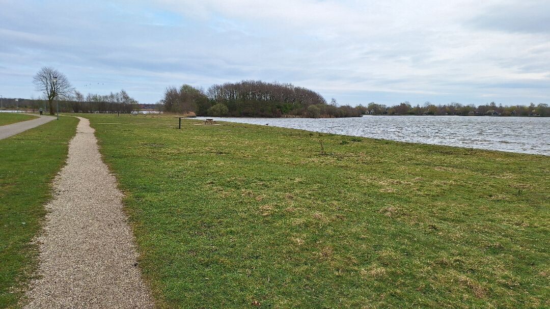 3 km wandeling langs de Grote Rietplas