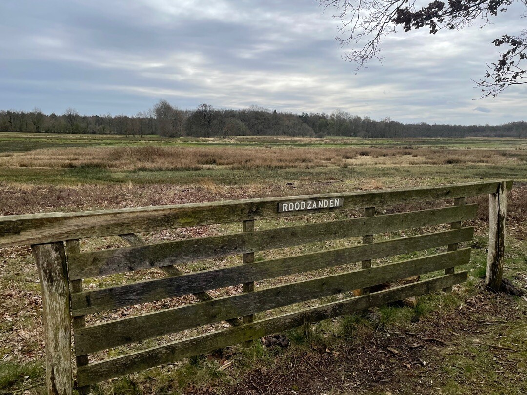 Pieterpad etappe 4-1 (Zuidlaren-Gasteren)