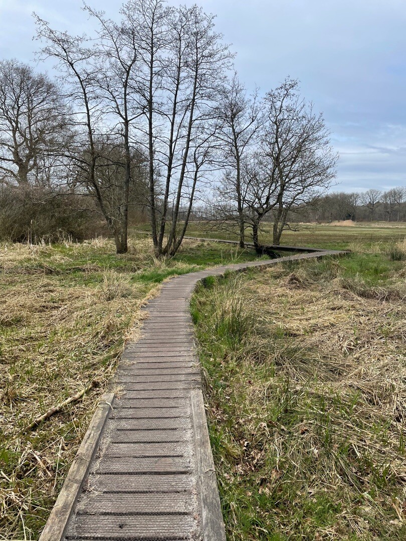 Pieterpad etappe 4-1 (Zuidlaren-Gasteren)