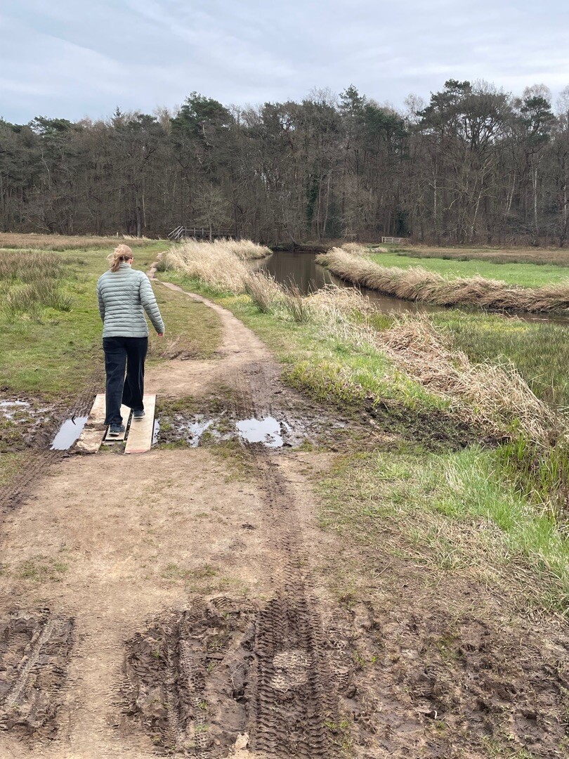 Pieterpad etappe 4-1 (Zuidlaren-Gasteren)